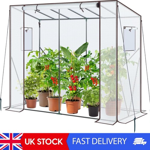 Tomato greenhouse for - tomato,