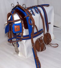 Brown and Blue Breaching horse