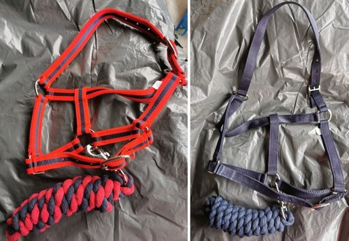 Harlequin headcollar - harlequin, (halter)