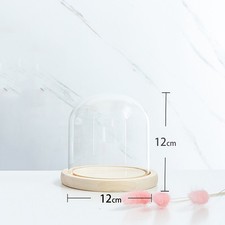 Glass Dome Display Bell Jar