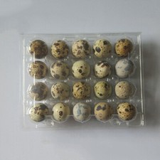 50Pcs Quail Egg Cartons Holds 20 Eggs Snap Close Plastic Box Container Packaging
