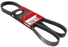 Alternator Auxiliary Belt For