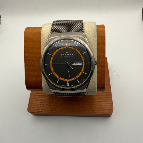 Skagen denmark titanium - skagen,
