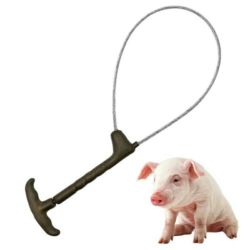 Pig piglet fixed - pig/piglet, wire