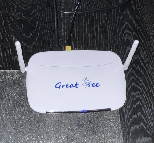 Great bee internet media - bee,