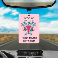 Novelty Car Air Freshener