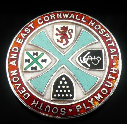 Sterling silver nursing - silver, badge