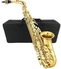 Saxophone Kit Gold Finish,
