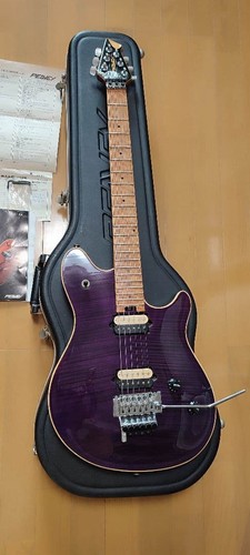 Peavey evh wolfgang electric - evh,