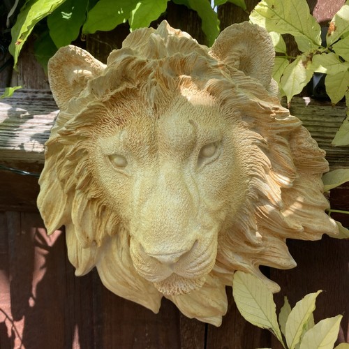 Lions head hanging wall - lions,