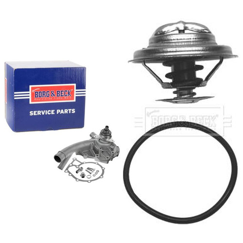 Borg beck water pump - water,