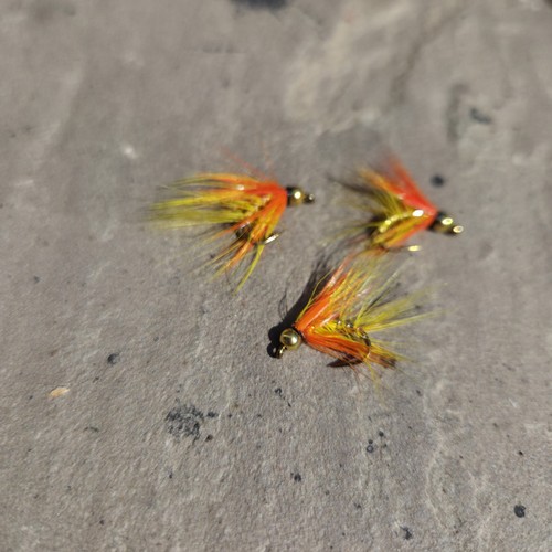Yellow snatcher fly - snatcher,