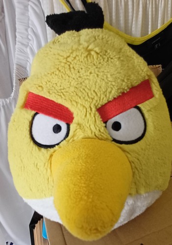 Angry bird plush - bird, toy/cushion