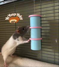 Rat Hanging Foraging Toy, Rat Enrichment Toy, Bird Enrichment Toy