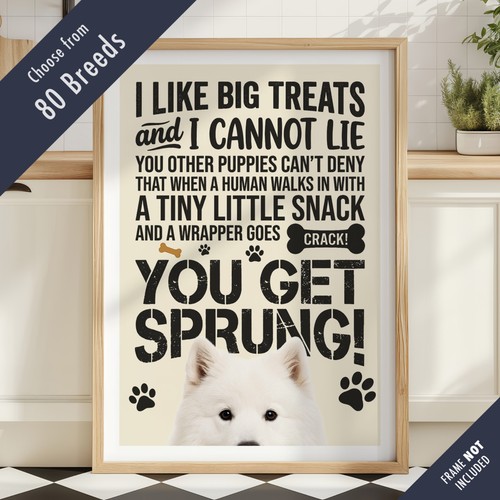 Funny dog treats - lyric, quote