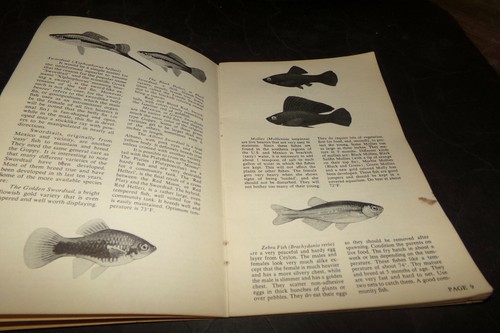 Vintage tropical fish - vintage, guide