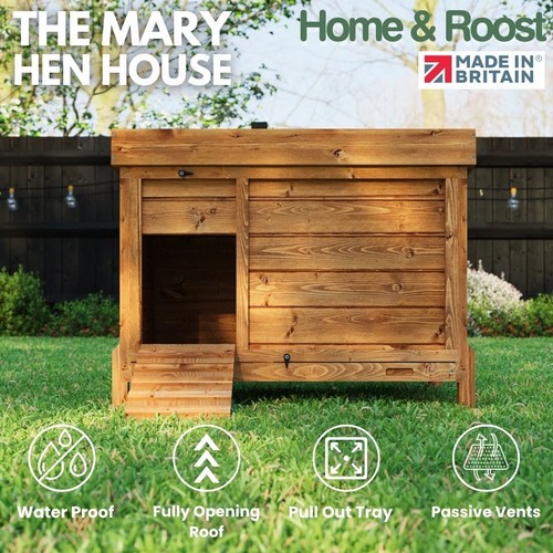Mary hen house chicken - hen,