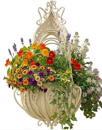 Hanging flower basket - flower, plant