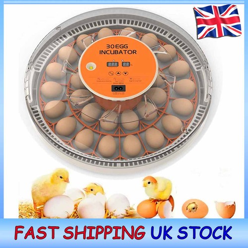 30egg intelligent incubator - intelligent,