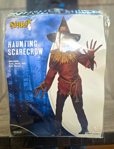 Spirit haunting scarecrow - spirit,