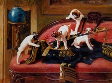 JACK RUSSELL TERRIER CHARMING