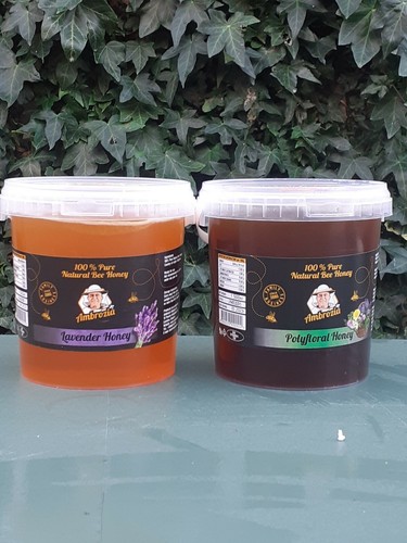 Raw organic honey 3kg - raw,