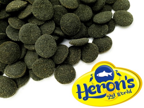 Herons oak algae - oak,