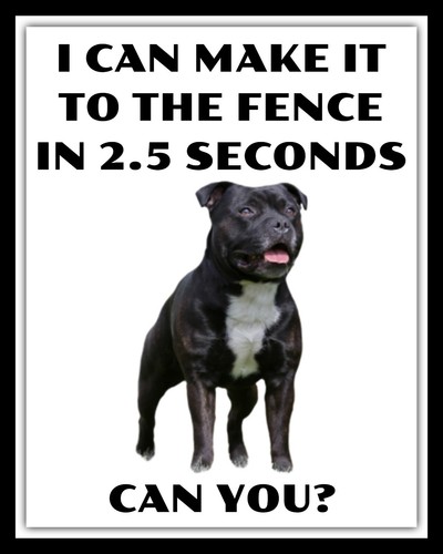 Can make the fence - the, in