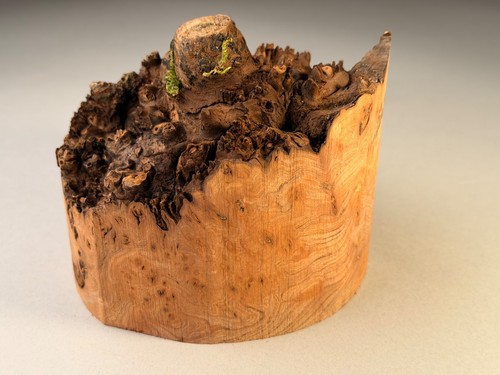 Live edge burr elm - edge, resin