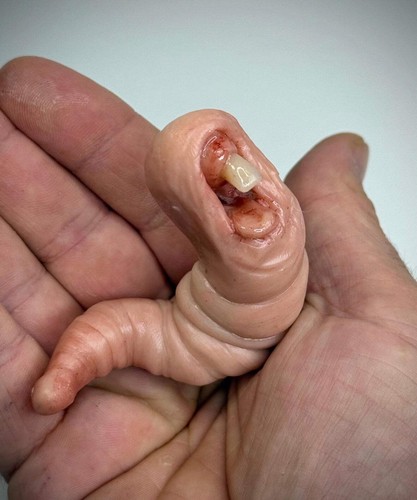 The nibbler grotesque - the,
