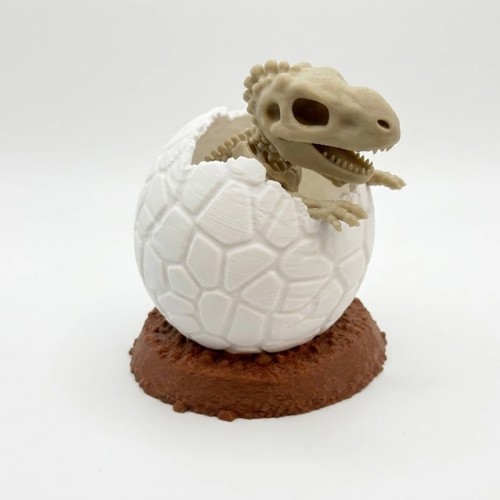 Baby rex skeleton - baby, t-rex