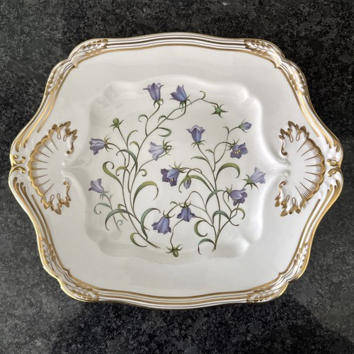 Spode campanula handled - spode,