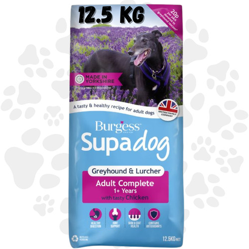 Burgess supadog greyhound - burgess,