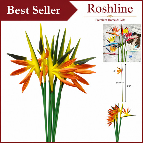 Stunning orange yellow - orange,