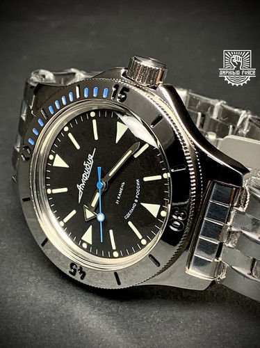 Vostok amphibia 120512 - amphibia, with