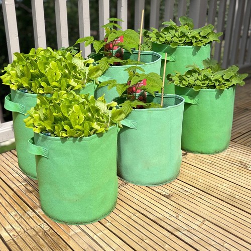 Vegetable planters for - planters,