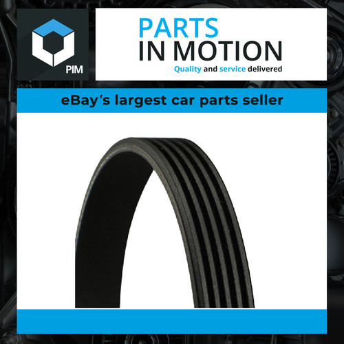 Rib multi drive belt - 5,