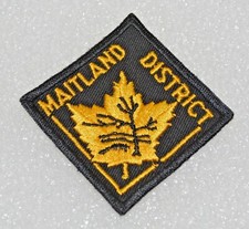 MAITLAND DISTRICT Beaver Under Tree Boy Scout Uniform Badge Canadian ONM1EN3