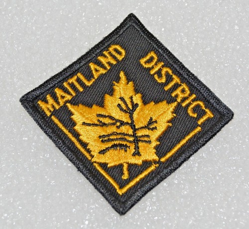 Maitland district beaver under - maitland,