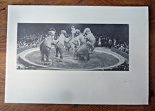 Bertram Mills Circus Tour of Great Britain 1958 6 Elephants Performing in Ring