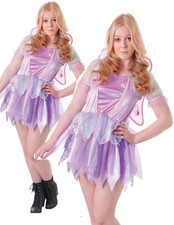 Teenage Fantasy Fairy Costume