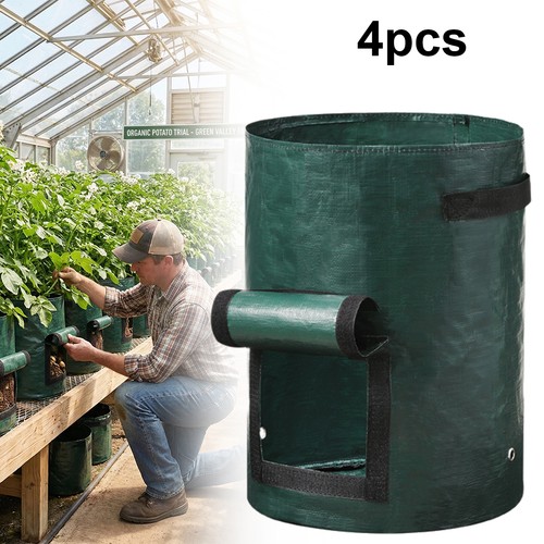Potato planters grow - potato, bags