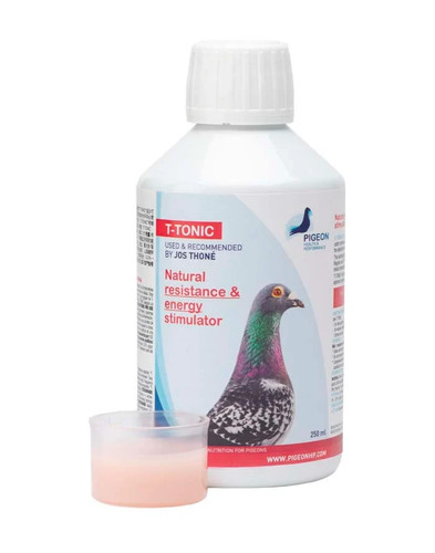 Pigeon tonic 500ml - hp, t-tonic