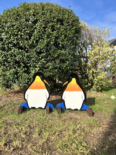 Penguin show jump fillers - show,