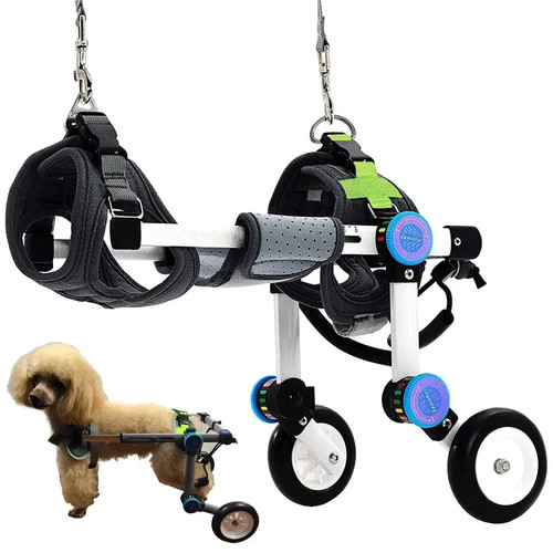 Adjustable foldable dog - adjustable,