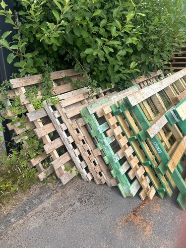 Mixed wooden warehouse - wooden, pallets