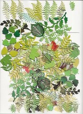 Die Cut Leaves, 200+ for Cards making Scrapbook Embellishments Craft Clearout.