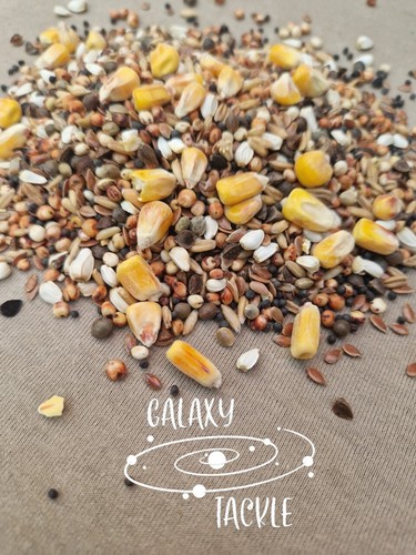 Carp fishing particle bait - carp,