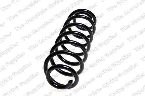 Lesjofors rear coil - lesjofors,