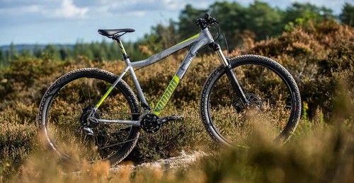 Voodoo aizan medium - aizan, 29”